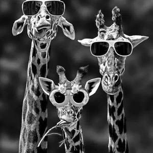 Meet your Posher, Reginald